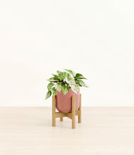 Load image into Gallery viewer, Hammered Rose Pink stand:bamboo