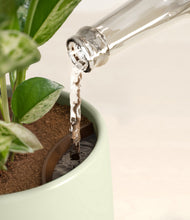 Load image into Gallery viewer, Turquoise stand:all