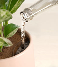 Load image into Gallery viewer, Gentle Pink stand:all