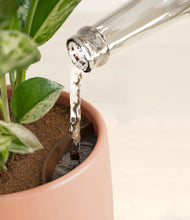 Load image into Gallery viewer, Calm Rose stand:all