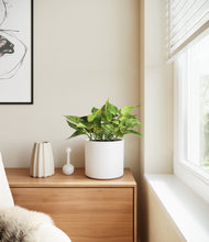 Load image into Gallery viewer, White