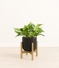 Load image into Gallery viewer, Stone Black stand:bamboo