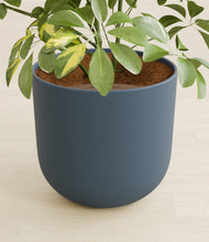 Load image into Gallery viewer, Iron Gray stand:all