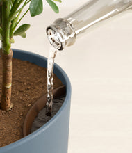 Load image into Gallery viewer, Iron Gray stand:all