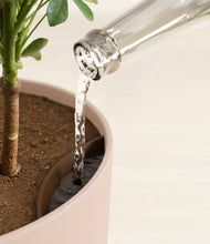 Load image into Gallery viewer, Sandy Pink stand:all