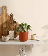 Load image into Gallery viewer, Earth Red