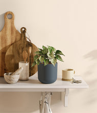 Load image into Gallery viewer, Iron Gray