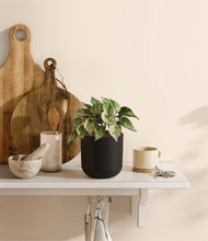 Load image into Gallery viewer, Stone Black