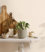 Load image into Gallery viewer, Sage Green