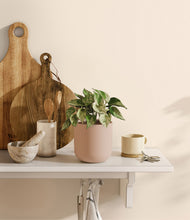 Load image into Gallery viewer, Sandy Pink