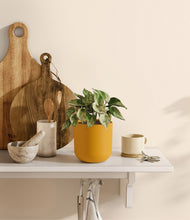 Load image into Gallery viewer, Sunset Orange