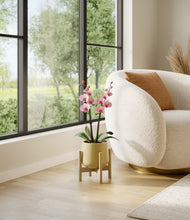 Load image into Gallery viewer, Almond Green stand:bamboo