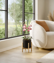 Load image into Gallery viewer, Black stand:bamboo