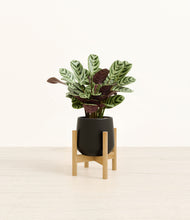 Load image into Gallery viewer, Black stand:bamboo