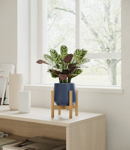 Load image into Gallery viewer, Deep Navy stand:bamboo