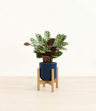 Load image into Gallery viewer, Twilight Blue stand:bamboo