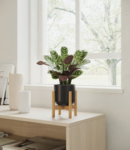 Load image into Gallery viewer, Stone Black stand:bamboo