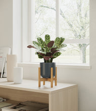 Load image into Gallery viewer, Iron Gray stand:bamboo