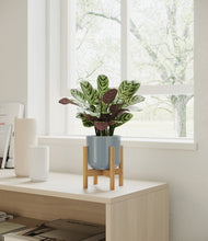 Load image into Gallery viewer, Misty Blue stand:bamboo