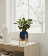 Load image into Gallery viewer, Twilight Blue stand:bamboo