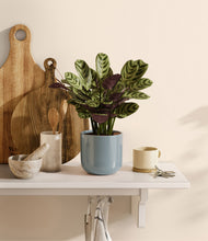 Load image into Gallery viewer, Misty Blue