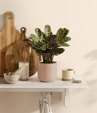 Load image into Gallery viewer, Sandy Pink