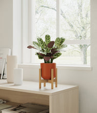 Load image into Gallery viewer, Earth Red stand:bamboo