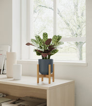 Load image into Gallery viewer, Iron Gray stand:bamboo