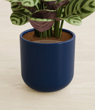 Load image into Gallery viewer, Twilight Blue stand:all