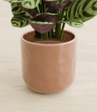 Load image into Gallery viewer, Hammered Peach Pink stand:all