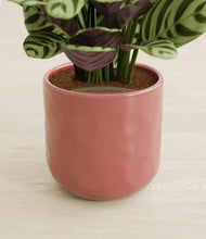 Load image into Gallery viewer, Hammered Rose Pink stand:all