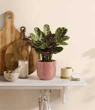 Load image into Gallery viewer, Hammered Rose Pink