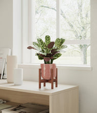 Load image into Gallery viewer, Hammered Rose Pink stand:walnut