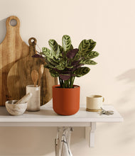 Load image into Gallery viewer, Earth Red