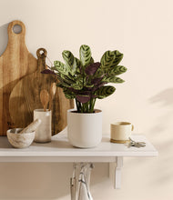 Load image into Gallery viewer, Natural Bamboo