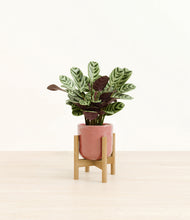 Load image into Gallery viewer, Hammered Rose Pink stand:bamboo
