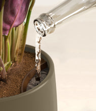 Load image into Gallery viewer, Olive stand:all