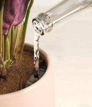 Load image into Gallery viewer, Gentle Pink stand:all