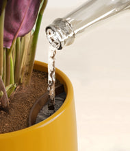 Load image into Gallery viewer, Mustard stand:all