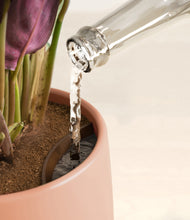 Load image into Gallery viewer, Evening Sky stand:all