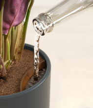 Load image into Gallery viewer, Iron Gray stand:all