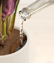 Load image into Gallery viewer, Cotton White stand:all