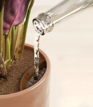 Load image into Gallery viewer, Hammered Peach Pink stand:all