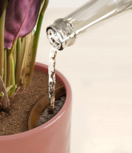 Load image into Gallery viewer, Hammered Rose Pink stand:all