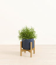 Load image into Gallery viewer, Deep Navy stand:bamboo
