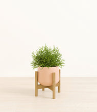 Load image into Gallery viewer, Gentle Pink stand:bamboo