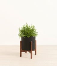 Load image into Gallery viewer, Black stand:walnut