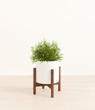 Load image into Gallery viewer, White stand:walnut