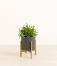 Load image into Gallery viewer, Dark Olive stand:bamboo