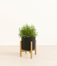 Load image into Gallery viewer, Black stand:bamboo